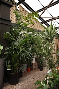 Tropical Plants in Greenhouse Display