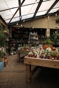 Plant Shop with Cacti and Succulents Under Glass Roof