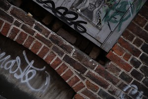 IMG_7329.CR2