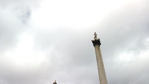 TLPS0078.JPG