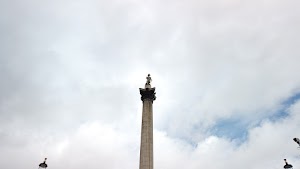 TLPS0207.JPG