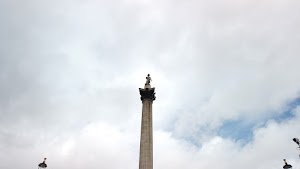 TLPS0208.JPG