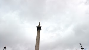 TLPS0253.JPG
