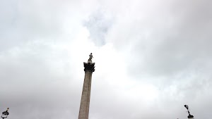 TLPS0267.JPG
