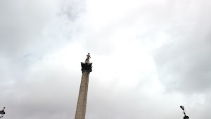 TLPS0276.JPG