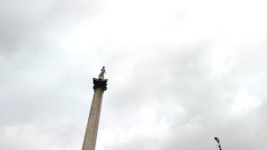 TLPS0305.JPG