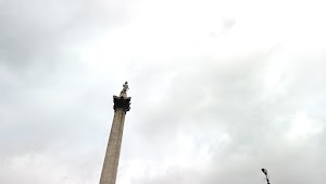 TLPS0306.JPG