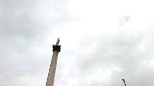 TLPS0311.JPG