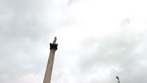 TLPS0313.JPG