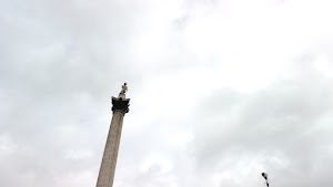 TLPS0316.JPG