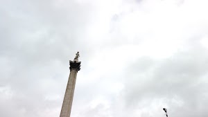 TLPS0317.JPG