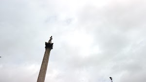 TLPS0337.JPG