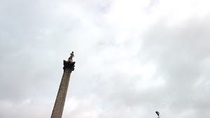 TLPS0343.JPG