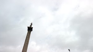 TLPS0347.JPG