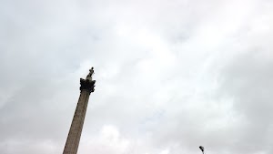 TLPS0350.JPG