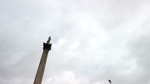 TLPS0354.JPG