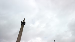 TLPS0358.JPG