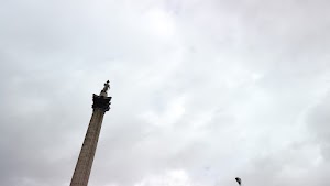 TLPS0360.JPG
