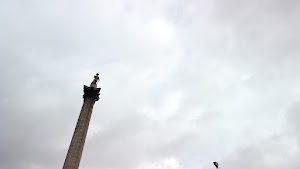 TLPS0362.JPG
