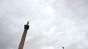 TLPS0363.JPG