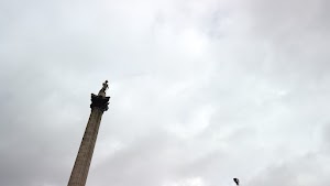 TLPS0364.JPG