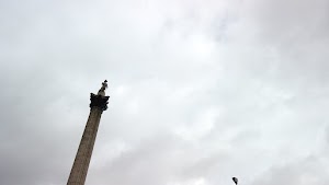TLPS0365.JPG