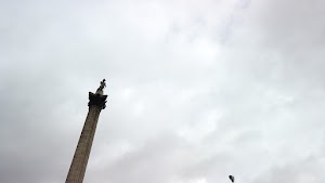 TLPS0366.JPG