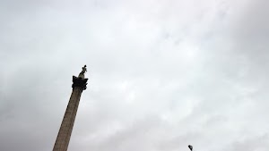 TLPS0369.JPG