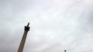 TLPS0373.JPG