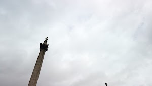 TLPS0375.JPG