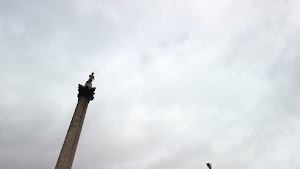 TLPS0376.JPG