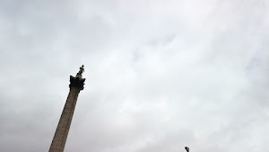 TLPS0377.JPG