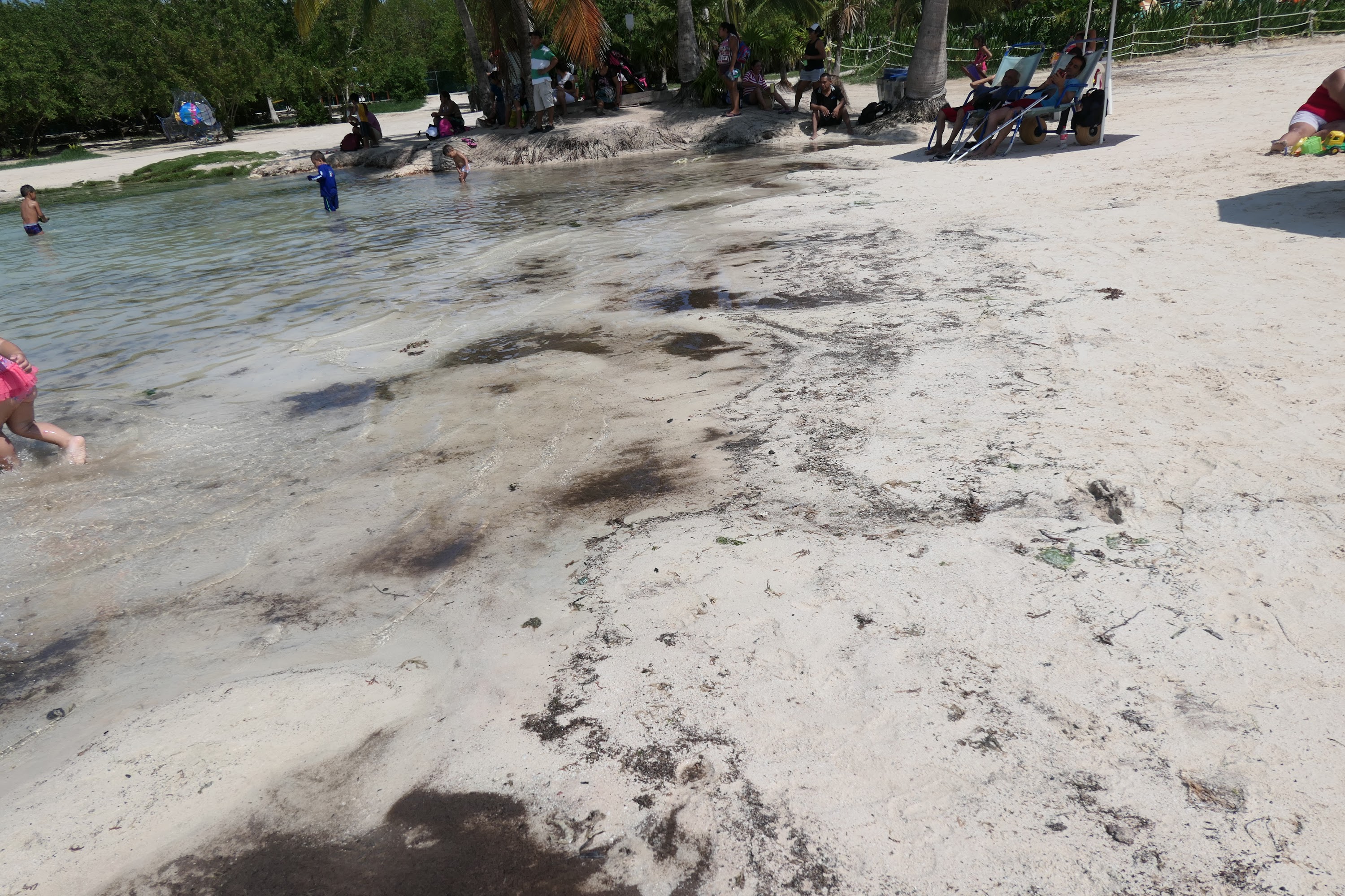Beach with Oil Spill and People Enjoying Water
