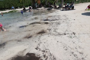 P1060343.JPG