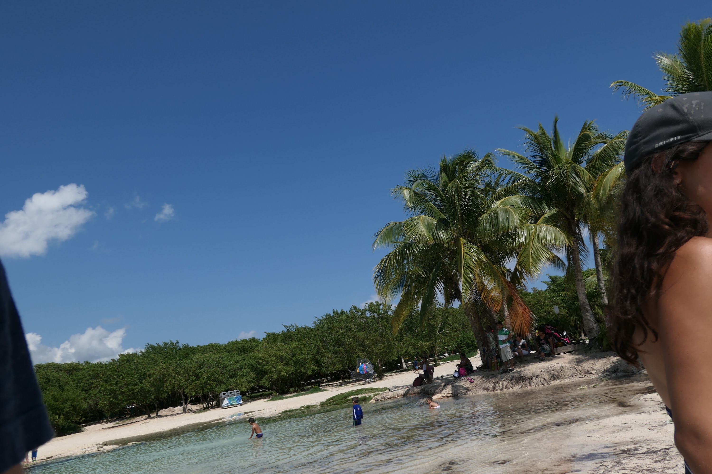 Beach Scene with Palm Trees and Swimmers