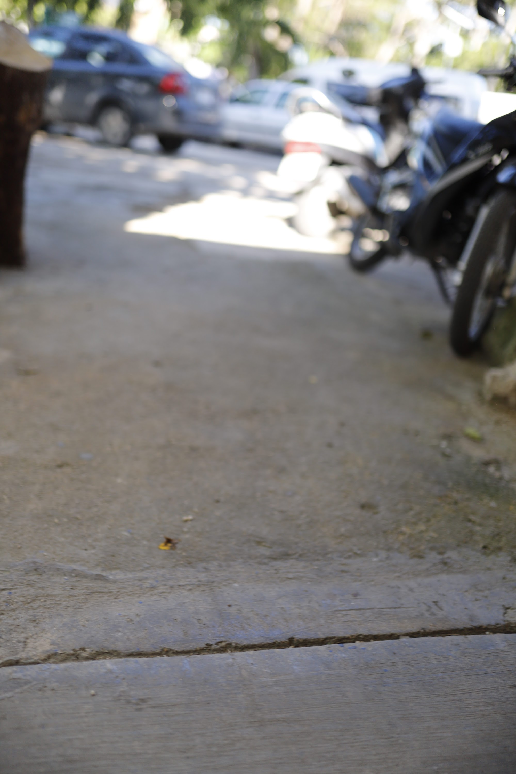 _MG_4658.CR2