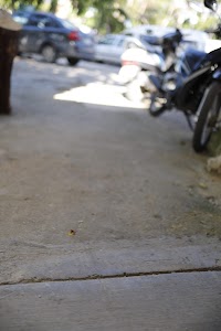 _MG_4658.CR2