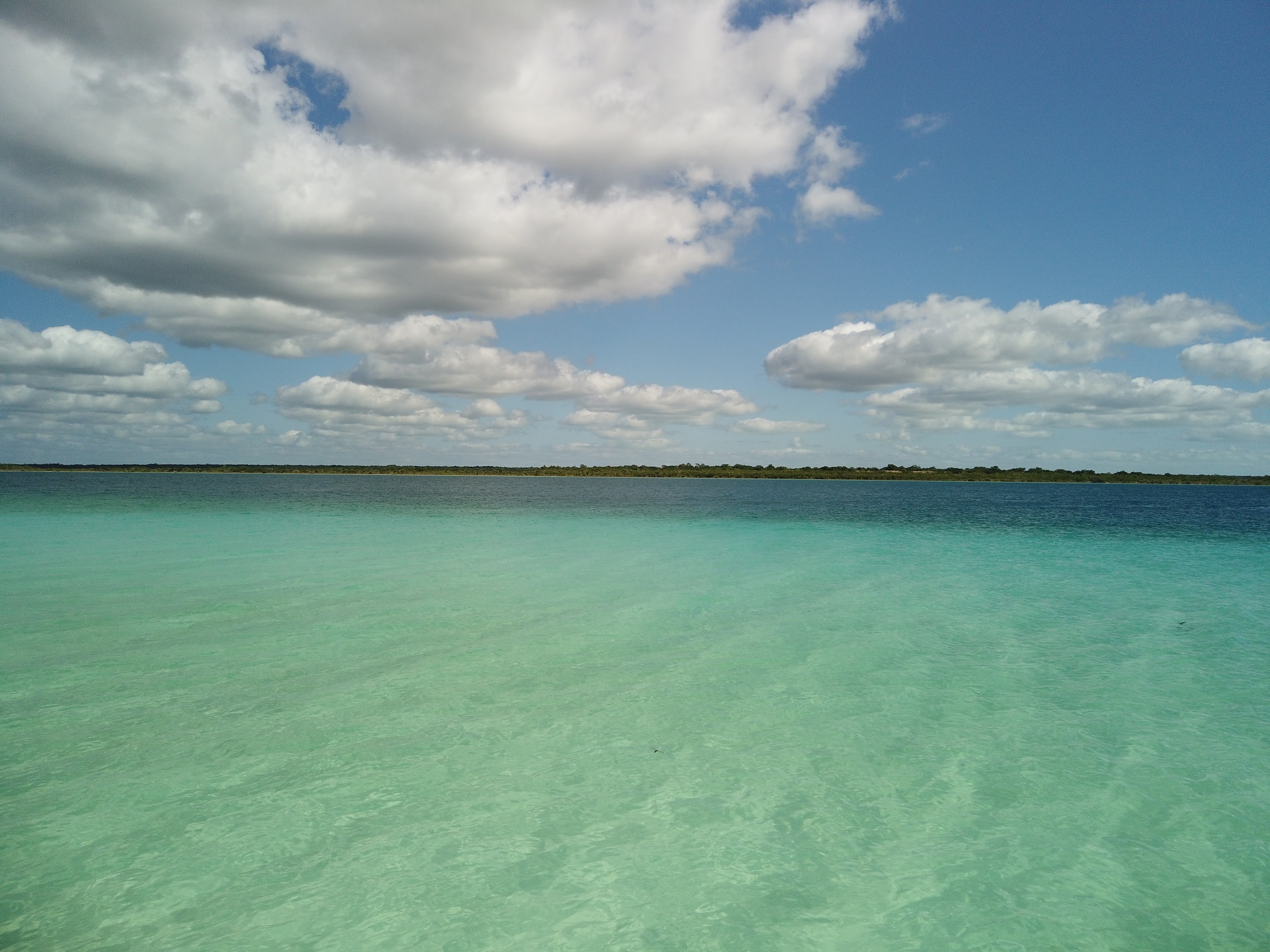 DJI_0002.JPG