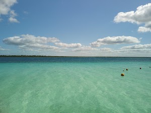 DJI_0003.JPG