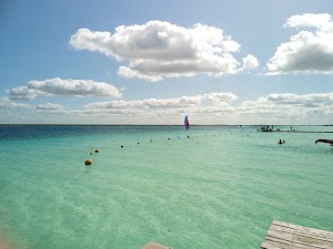 DJI_0004.JPG