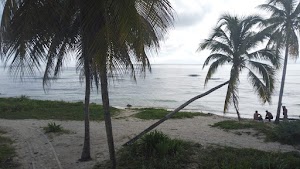 TLPS0068.JPG