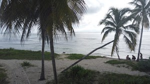 TLPS0070.JPG