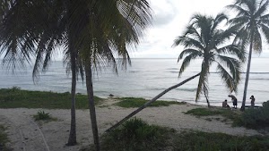 TLPS0077.JPG
