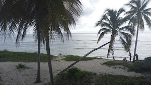 TLPS0085.JPG