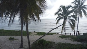 TLPS0088.JPG