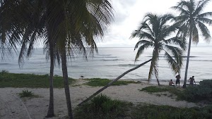 TLPS0092.JPG