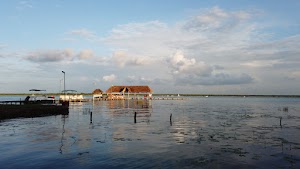 TLPS0104.JPG