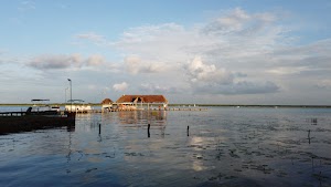 TLPS0105.JPG