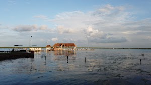 TLPS0106.JPG