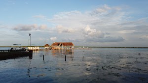 TLPS0109.JPG